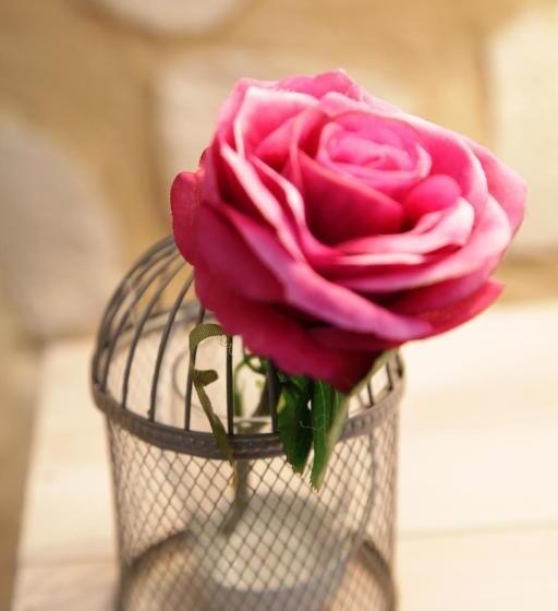 Номер Стандарт, Oeno Lodge