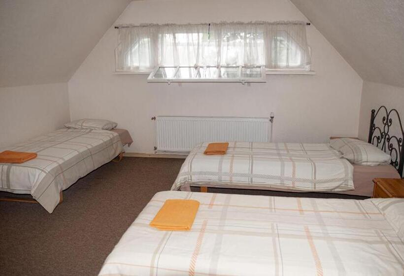 اتاق استاندارد سه نفره, Guest House Lauvaskalni