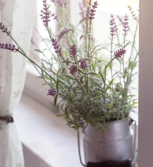 آپارتمان 1 خوابه, Guesthouse Green Istria