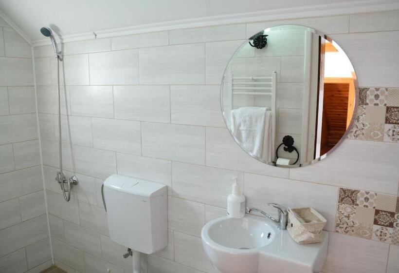 标准三人间, Pension Sf Nicolae