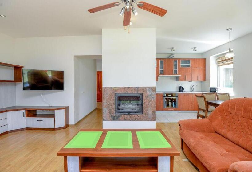 آپارتمان 2 خوابه, Suite Hotel Sermiesčio 3