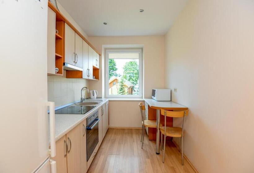 آپارتمان 1 خوابه, Suite Hotel Sermiesčio 3