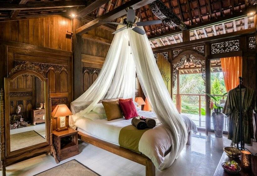 סוויטה, Alassari Plantation