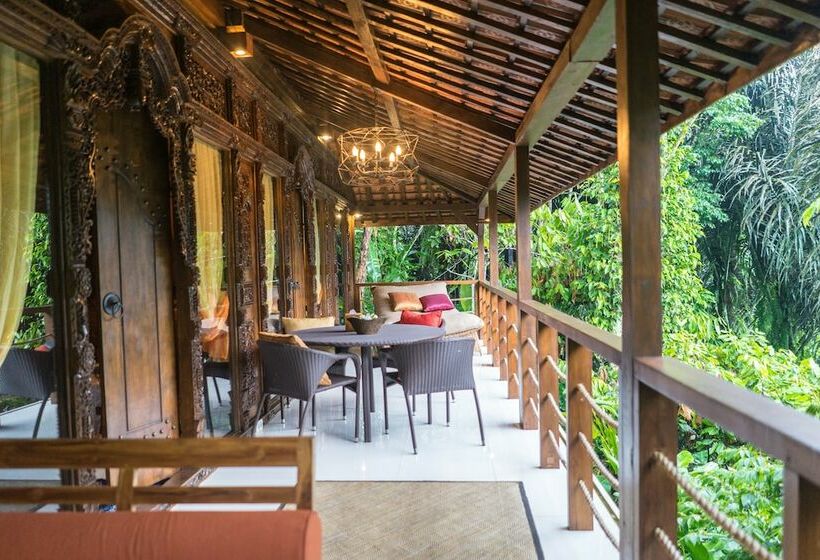 סוויטה, Alassari Plantation