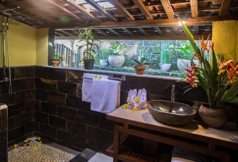 סוויטת דלוקס 2 חדרים, Alassari Plantation