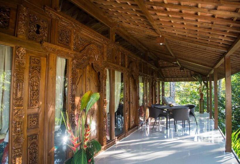 סוויטת דלוקס 2 חדרים, Alassari Plantation