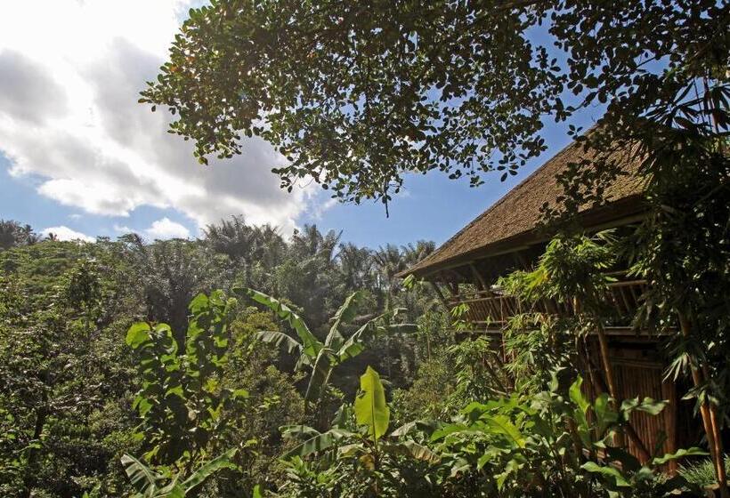 Дом 1 Спальня, Alassari Plantation