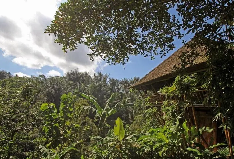 １ベッドルームハウス, Alassari Plantation