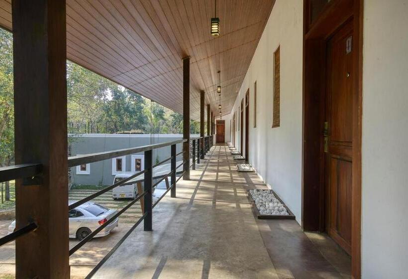 Camera Deluxe, Athena Lake By Seedevi