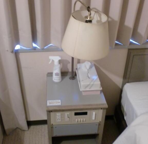 Номер Базовый Двуспальная Кровать, Tsuyama Central Hotel Annex