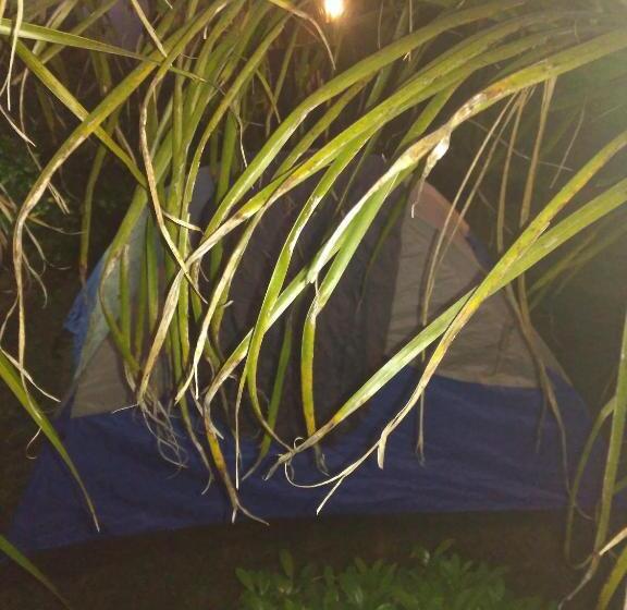 חדר אקונומי, Authentic Bicycle Tours And Backpackers