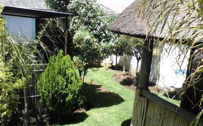 חדר דלוקס, Authentic Bicycle Tours And Backpackers