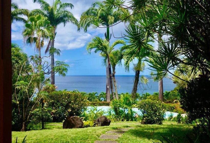 استودیوی استاندارد با چشمانداز دریا, Residence Au 'ti Sucrier