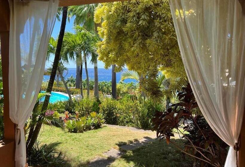 استودیوی استاندارد با چشمانداز دریا, Residence Au 'ti Sucrier