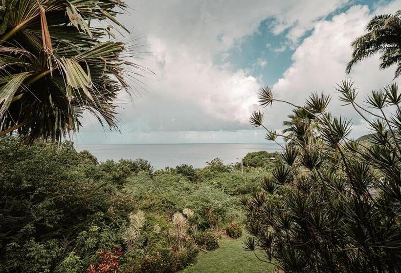 Superior Studio Sea View, Residence Au 'ti Sucrier