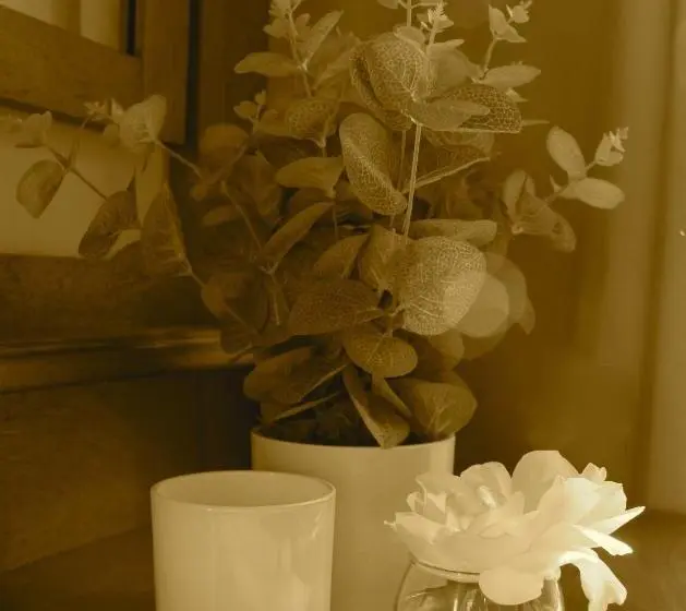 エコノミールーム, Khaya4u Guesthouse