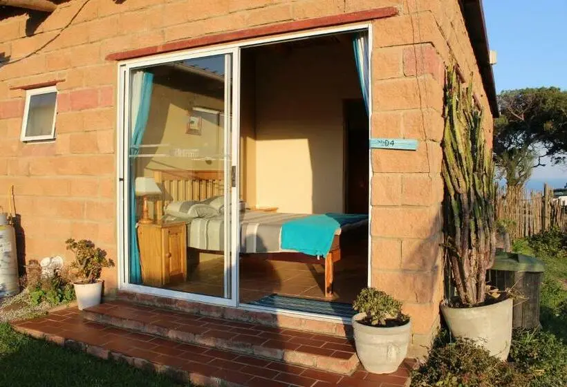 اتاق اکونومی, The Wild Farm Backpackers