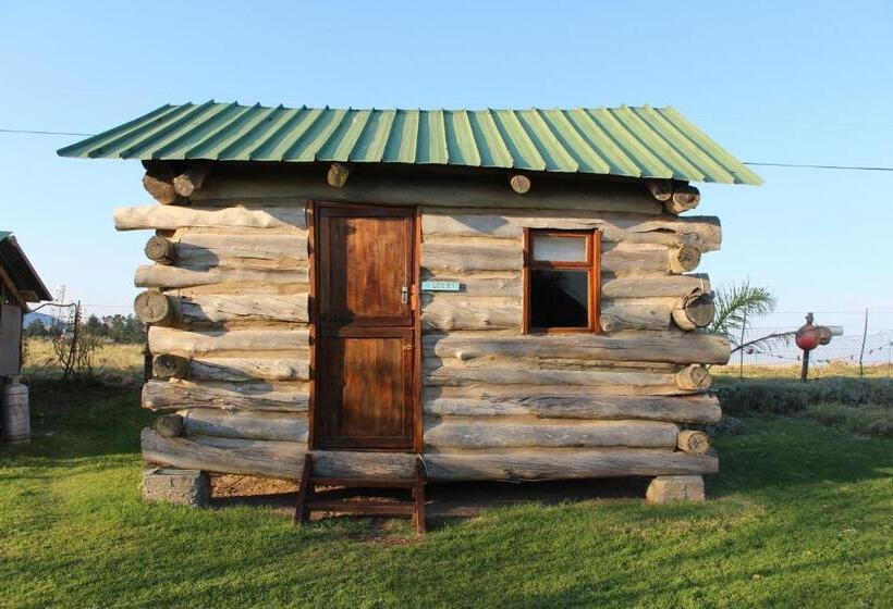 اتاق استاندارد, The Wild Farm Backpackers