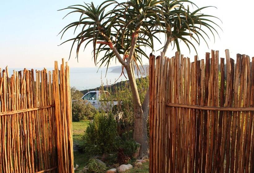 اتاق خانوادگی, The Wild Farm Backpackers