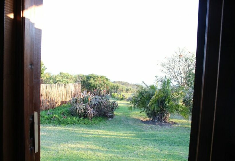 اتاق خانوادگی, The Wild Farm Backpackers