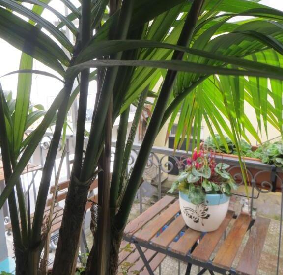اتاق اکونومی, B&b Mini Hotel Incity Close Train Station And Port