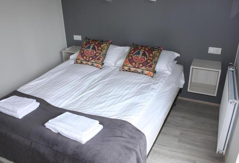اتاق استاندارد با سرویس بهداشتی مشترک, Brekkugerdi Guesthouse