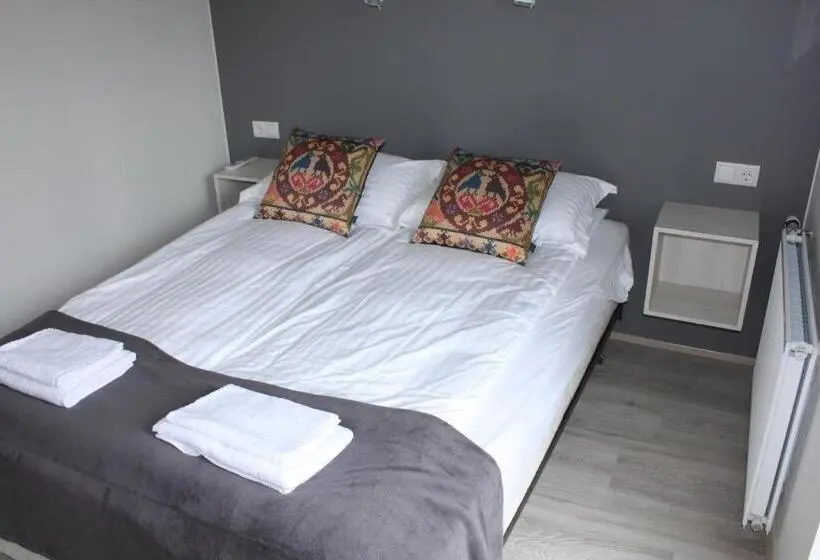 اتاق استاندارد با سرویس بهداشتی مشترک, Brekkugerdi Guesthouse