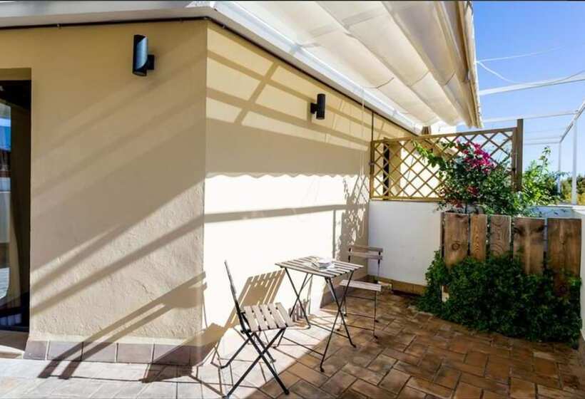 اتاق استاندارد با تراس, Black Swan Hostel Sevilla