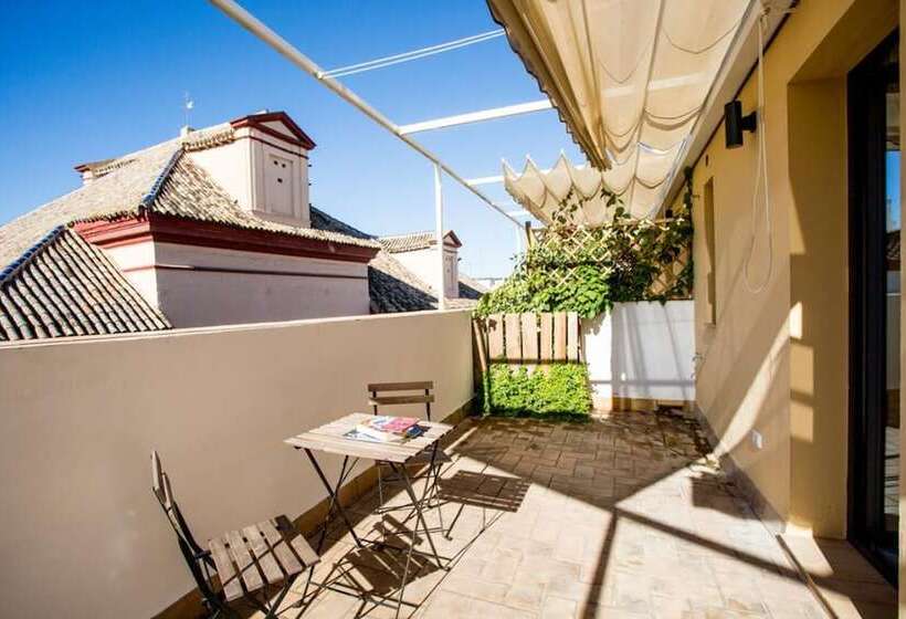 اتاق استاندارد با تراس, Black Swan Hostel Sevilla