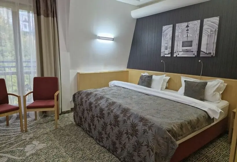 اتاق استاندارد, Spa Hotel Iris