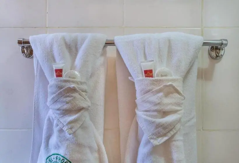 اتاق لوکس یک تخته, Phoenicia Hotel Kiambu