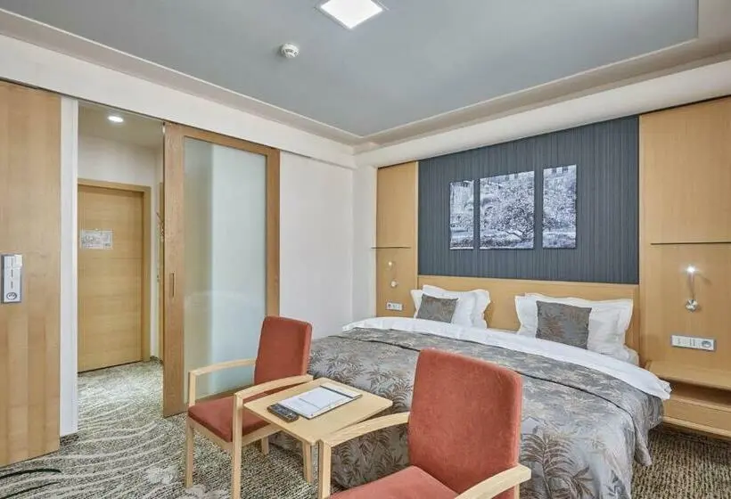 اتاق استاندارد, Spa Hotel Iris
