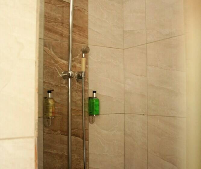 اتاق استاندارد یک نفره, Bromelia Guesthouse