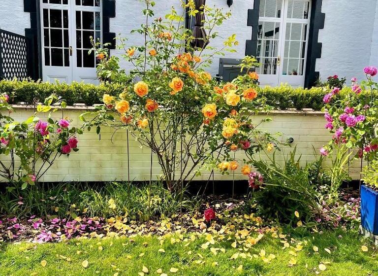 스탠다드 룸 킹사이즈 침대, Eagle House   Award Winning B&b And Apartment