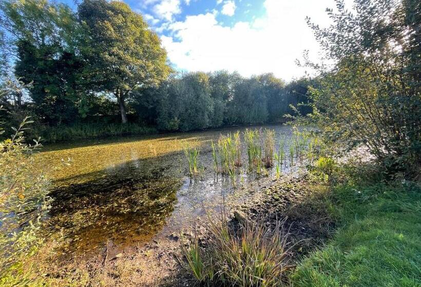디럭스 룸 킹사이즈 침대, Eagle House   Award Winning B&b And Apartment