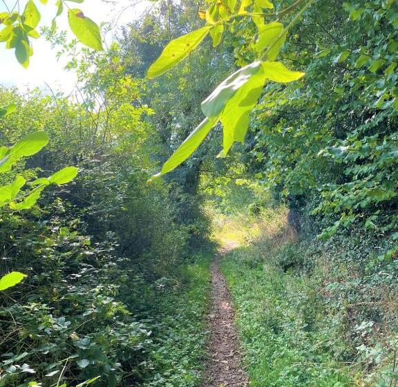 침실 1개 디럭스 아파트, Eagle House   Award Winning B&b And Apartment