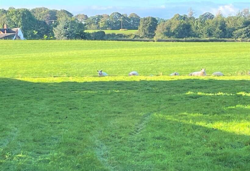 스탠다드 룸 킹사이즈 침대, Eagle House   Award Winning B&b And Apartment