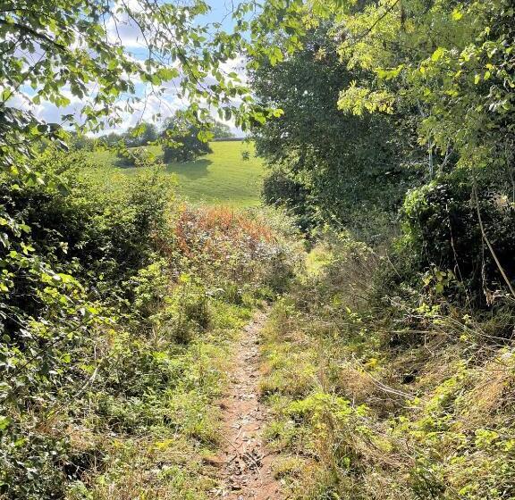 디럭스 룸, Eagle House   Award Winning B&b And Apartment