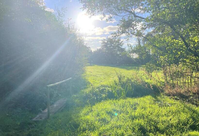 디럭스 룸, Eagle House   Award Winning B&b And Apartment