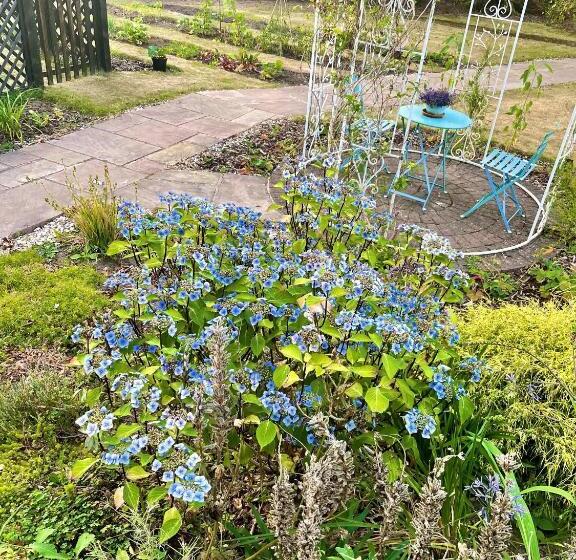 디럭스 룸, Eagle House   Award Winning B&b And Apartment