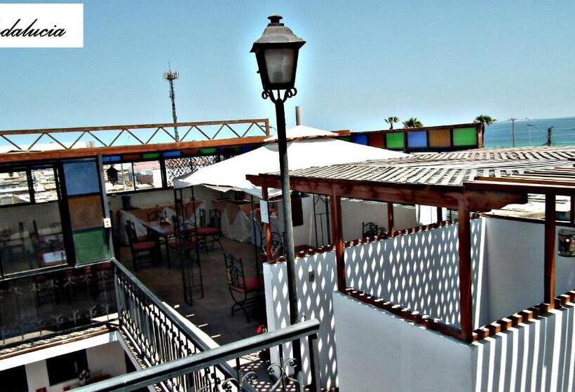 اتاق استاندارد سه نفره, Andalucía