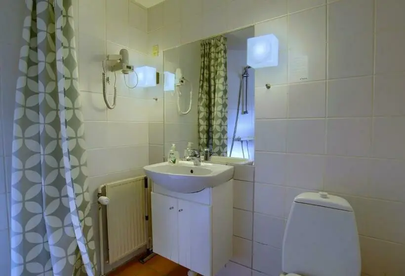 Camera Standard, Ebsens