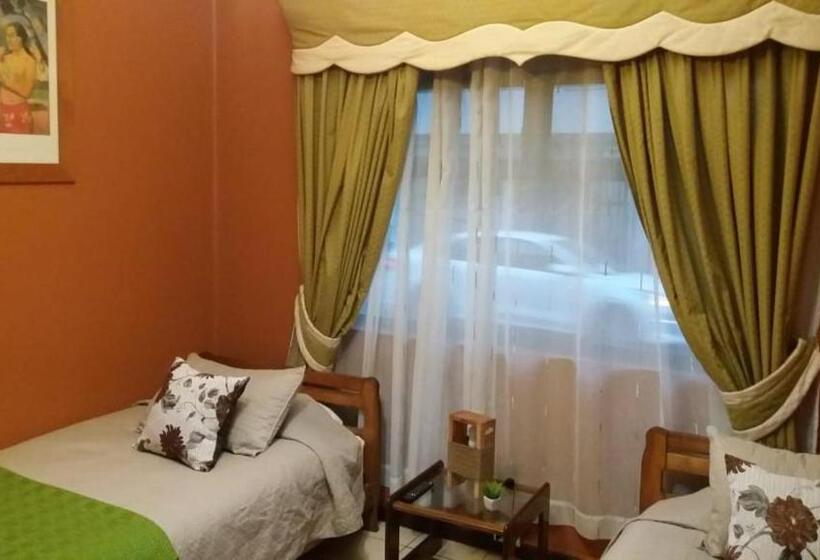 Camera Standard, Empresarial