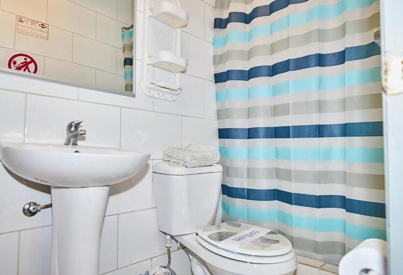 اتاق استاندارد یک نفره, Pulmahue