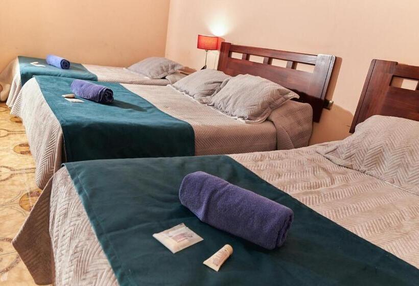 اتاق استاندارد سه نفره, Pulmahue