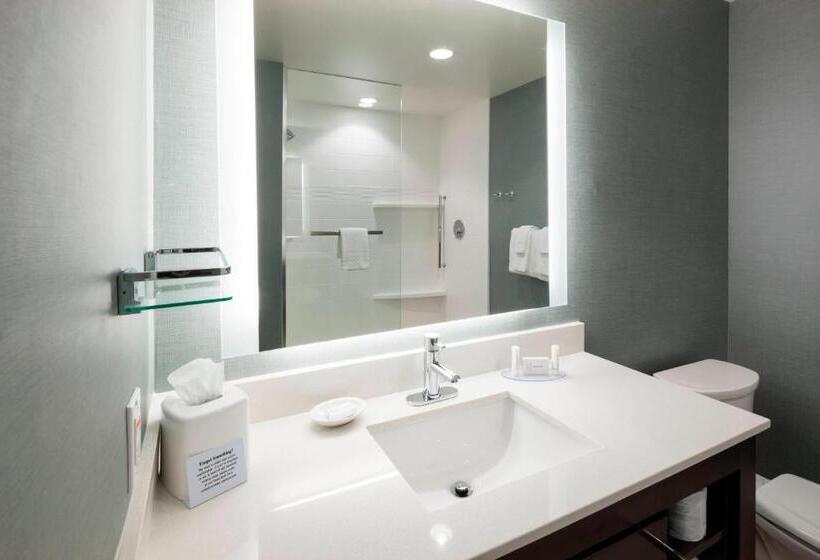 Люкс, Residence Inn By Marriott Clearwater Beach
