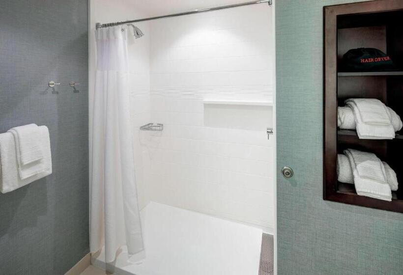 Люкс Кровать Кинг, Residence Inn By Marriott Clearwater Beach