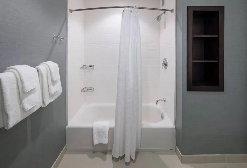 スタンダードスタジオ, Residence Inn By Marriott Clearwater Beach