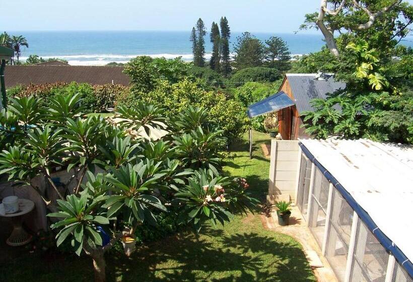 חדר סטנדרט, Birdcage B And B