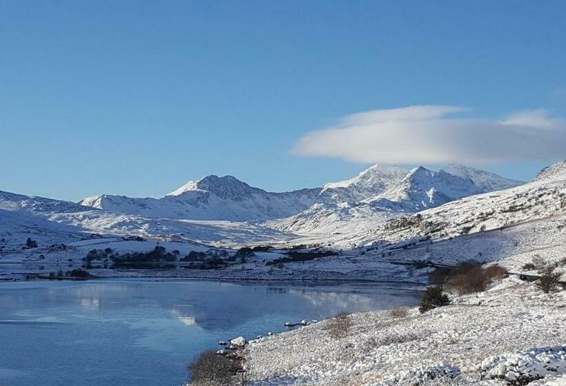 스탠다드 룸, Bod Gwynedd Bed And Breakfast